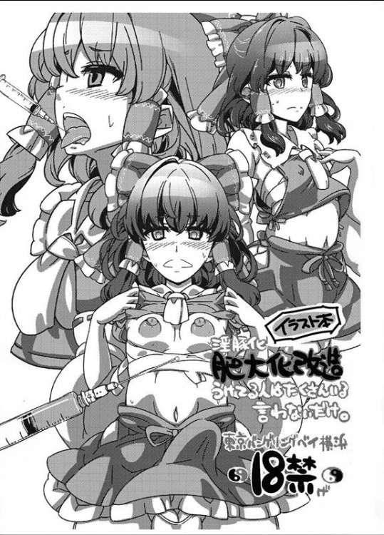 [東京バンゲリングベイ横浜 (くろり, あやち)] 淫豚化肥大化改造うけてる人はたくさんいる言わないだけ。 (東方Project)