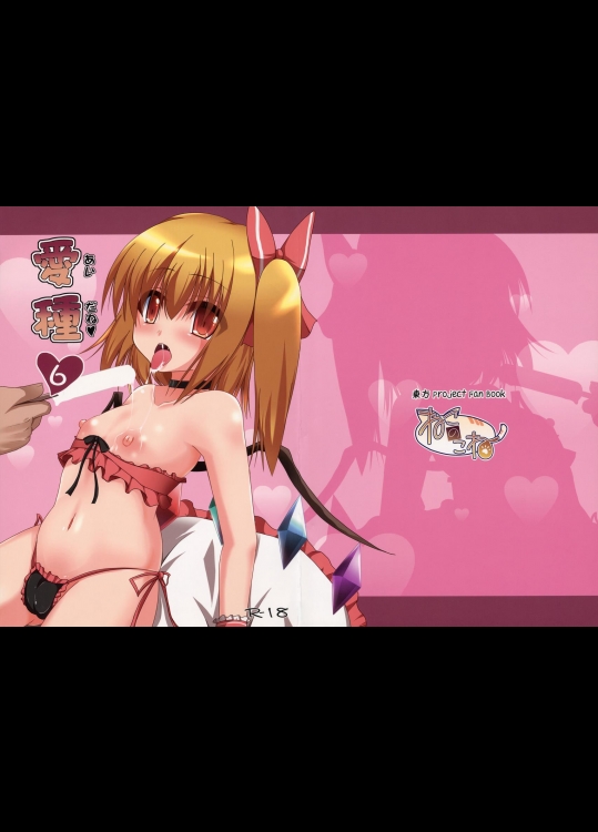 (紅楼夢8) [ねこのこね (タケユウ)] 愛種6 (東方Project)