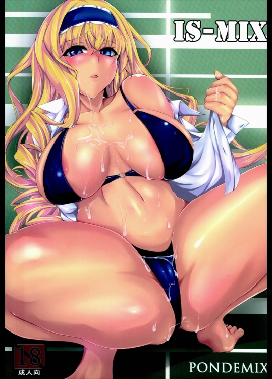 (C85) [PONDEMIX (雪國おまる)]  IS-MIX (インフィニット・ストラトス)_2