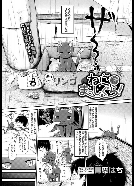 [青葉はち] ねこ まっしぐら！