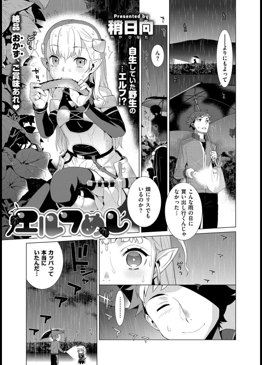 [稍日向] エルフめし