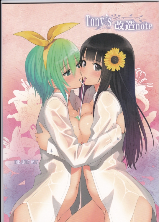 (C86)_[T2_ART_WORKS_(Tony)]_Tony's_改造note