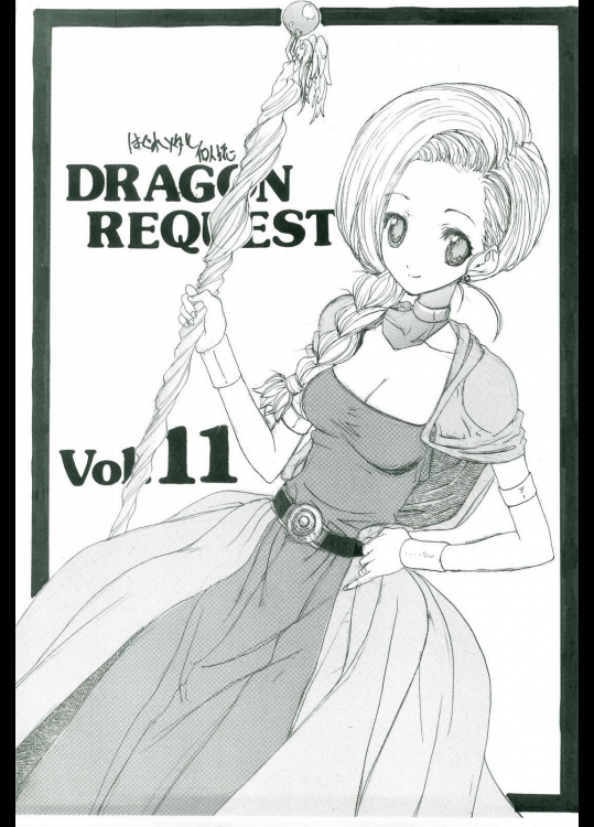 DRAGON REQUEST Vol.11          