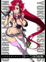 ヨーコ射精集 (天元突破グレンラガン)。