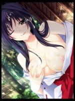 【30枚】巫女さんのエロ画像集その3