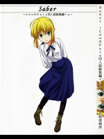 [自称清純派]saber〜ヒロユキFate同人誌総集編+α〜