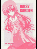 DAISY GARDEN