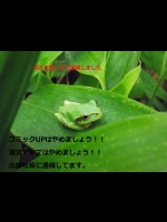 コミックの違法アップは止めましょう！